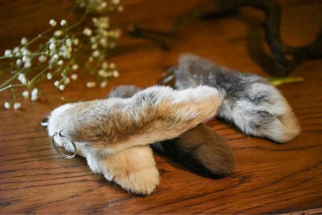 Uğurlar üçün dovşan ayağı
